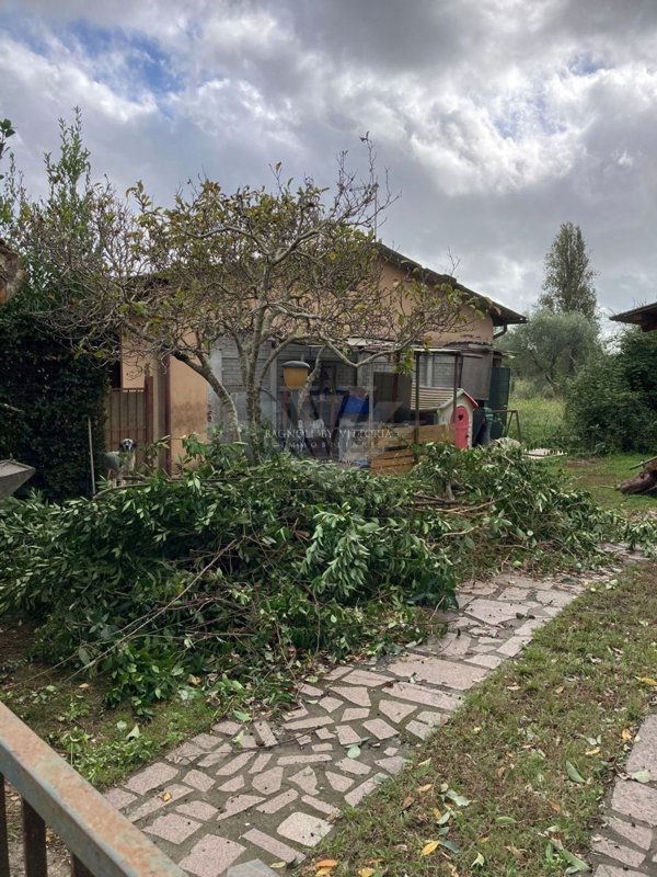 casa indipendente in vendita a Pietrasanta in zona Africa