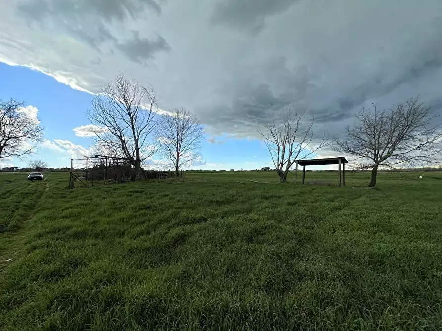 terreno agricolo in vendita a Pietrasanta