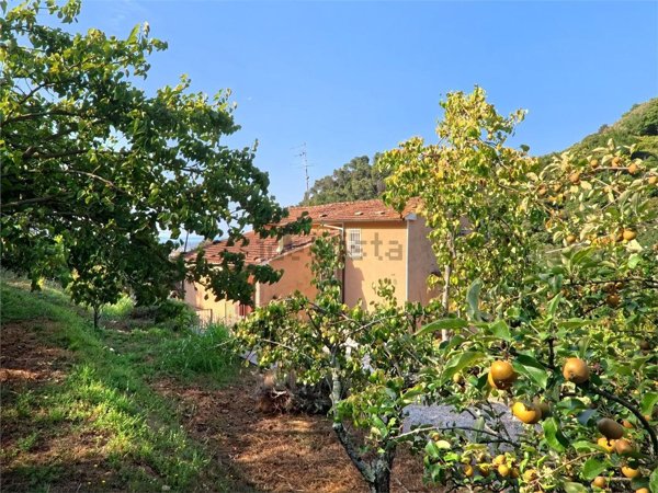 casa indipendente in vendita a Pietrasanta in zona Strettoia