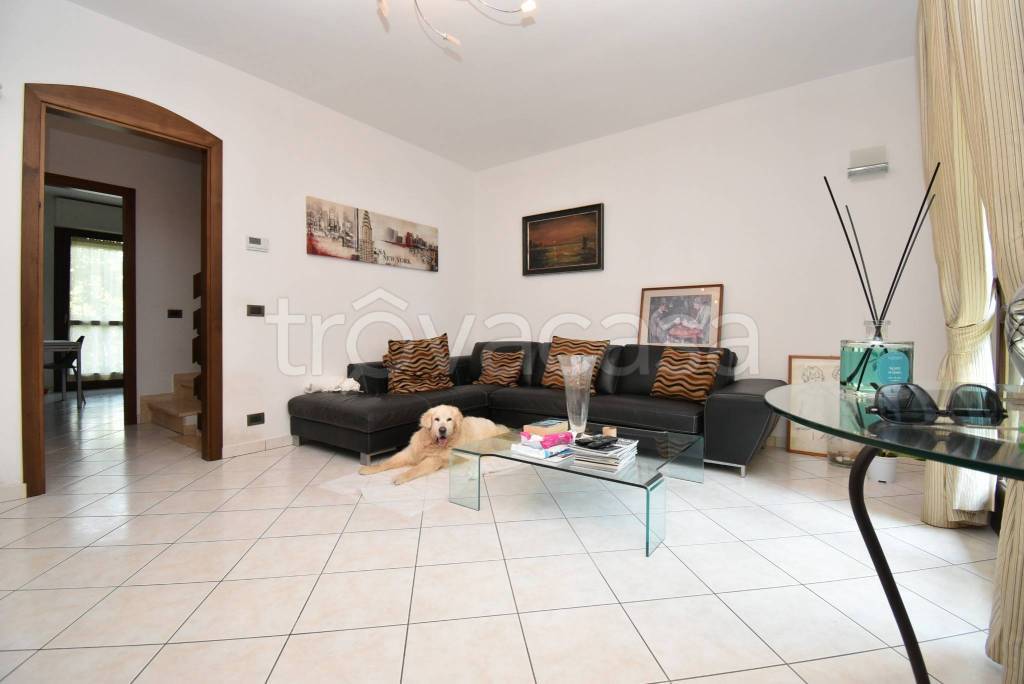casa indipendente in vendita a Pietrasanta in zona Capezzano Monte