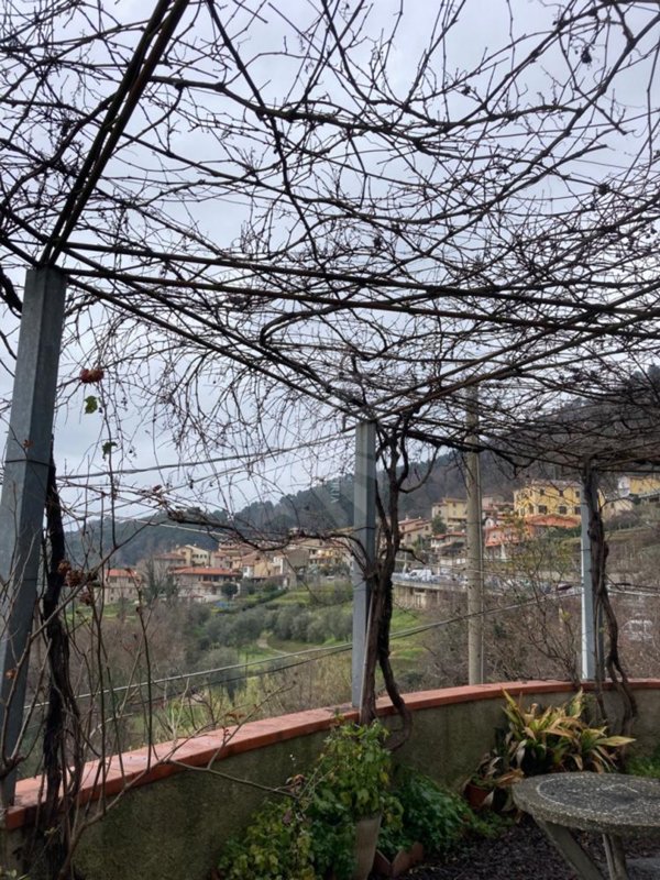 intera palazzina in vendita a Pietrasanta in zona Capezzano Monte