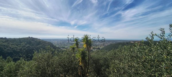 terreno in vendita a Pietrasanta in zona Capezzano Monte