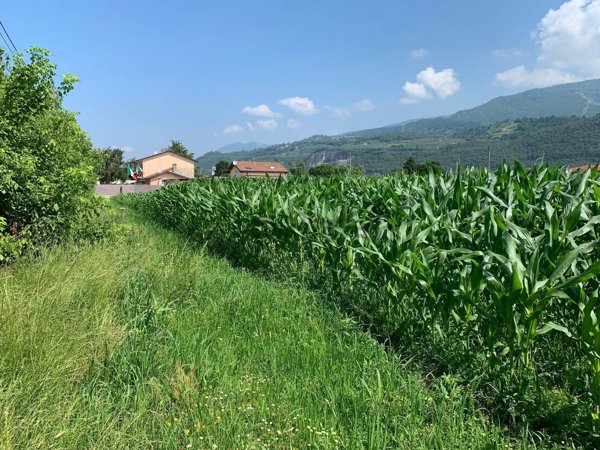 terreno agricolo in vendita a Pietrasanta in zona Strettoia