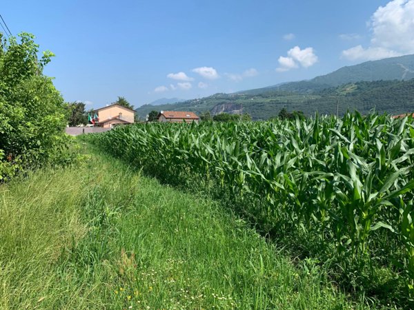 terreno agricolo in vendita a Pietrasanta in zona Strettoia