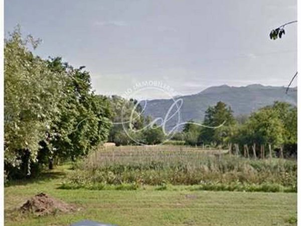 terreno agricolo in vendita a Pietrasanta in zona Capezzano Monte