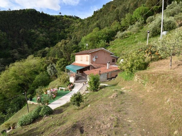 casa indipendente in vendita a Pietrasanta in zona Strettoia