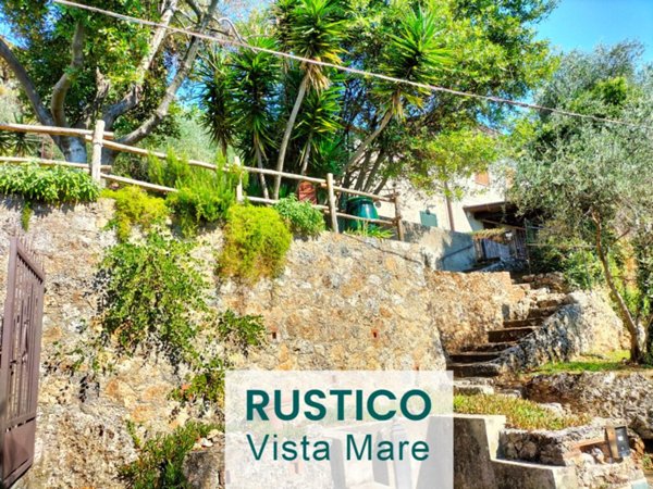 casale in vendita a Pietrasanta in zona Capezzano Monte