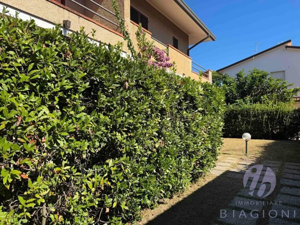 casa indipendente in vendita a Pietrasanta in zona Motrone