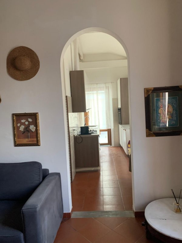 appartamento in vendita a Pietrasanta in zona Capezzano Monte