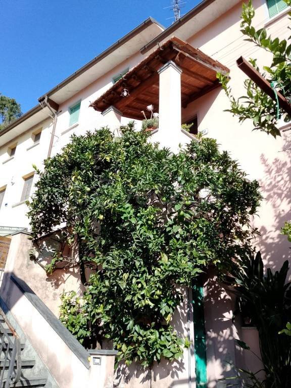 casa indipendente in vendita a Pietrasanta in zona Focette