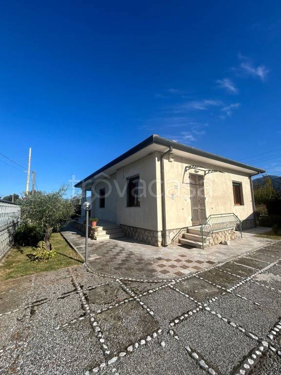immagine annuncio 0 di 15