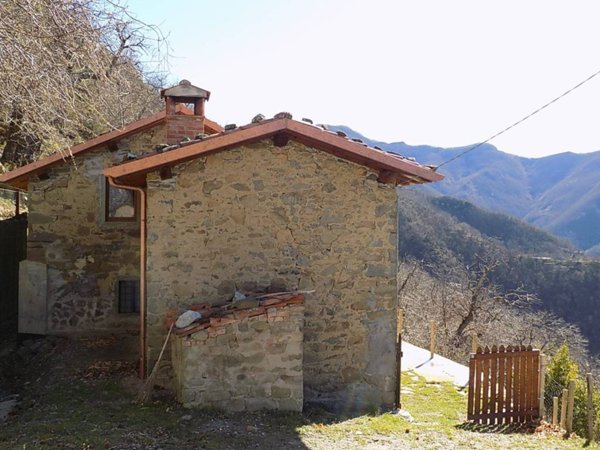 casa indipendente in vendita a Pieve Fosciana