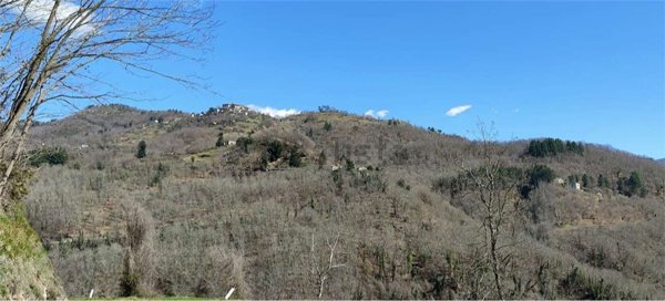 casa indipendente in vendita a Pieve Fosciana