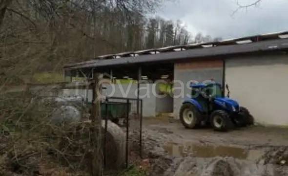appartamento in vendita a Pieve Fosciana in zona Sillico