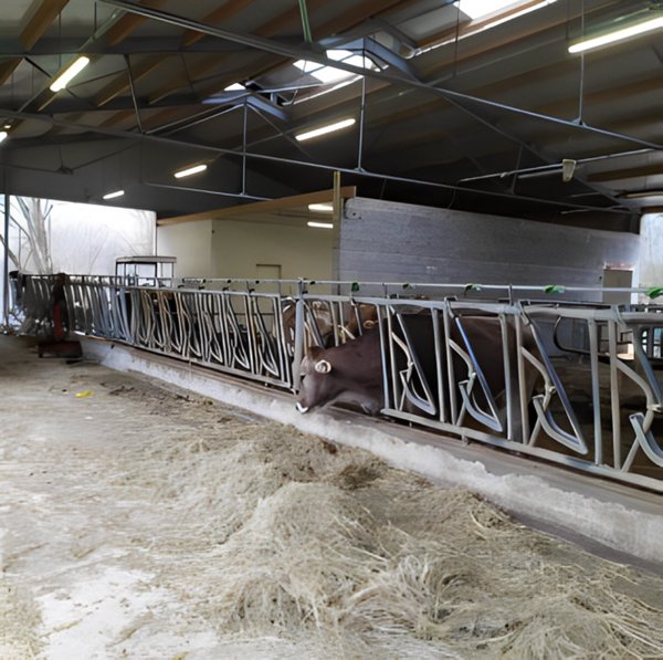 negozio in vendita a Pieve Fosciana in zona Sillico