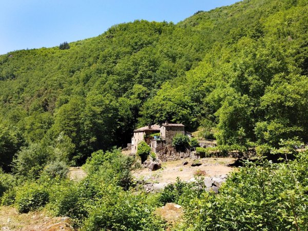 casa indipendente in vendita a Pieve Fosciana in zona Sillico