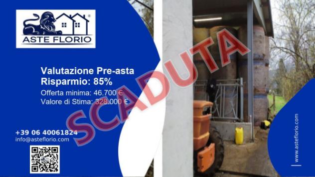 pentavano in vendita a Pieve Fosciana in zona Sillico