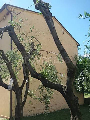 casa indipendente in vendita a Porcari