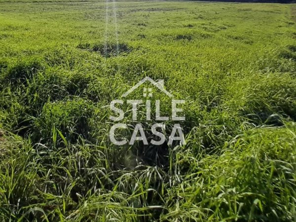 terreno agricolo in vendita a Porcari in zona Padule