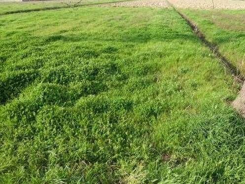 terreno edificabile in vendita a Porcari