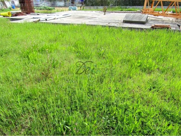 terreno edificabile in vendita a Porcari in zona Rughi