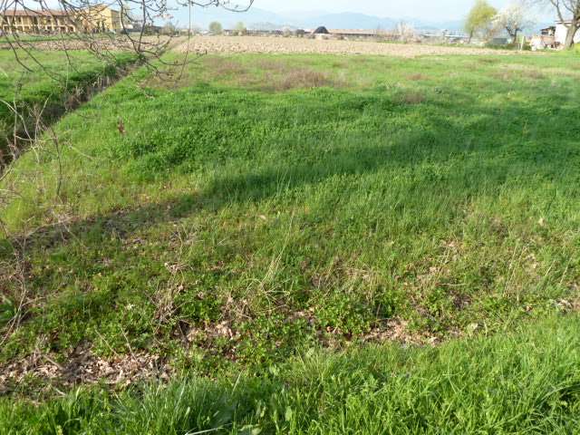 terreno edificabile in vendita a Porcari