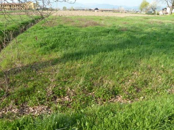 terreno edificabile in vendita a Porcari