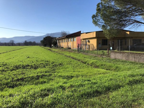 negozio in vendita a Porcari