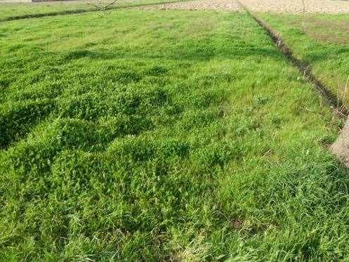 terreno edificabile in vendita a Porcari