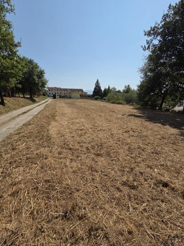 terreno agricolo in vendita a Porcari