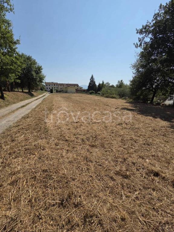 terreno agricolo in vendita a Porcari in zona Rughi