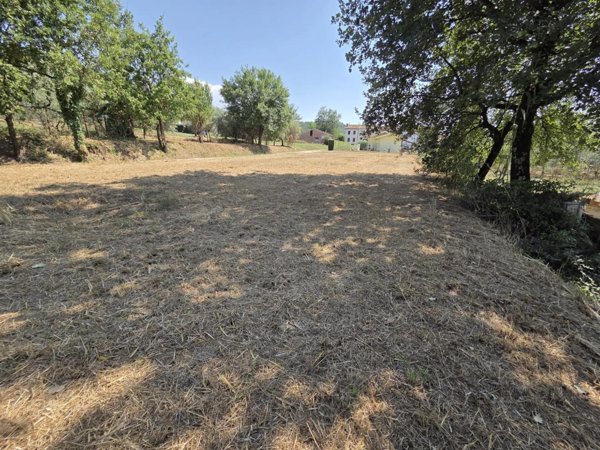 terreno agricolo in vendita a Porcari