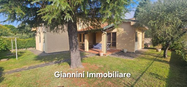 immagine annuncio 0 di 15