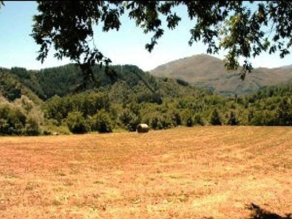 casa indipendente in vendita a San Romano in Garfagnana