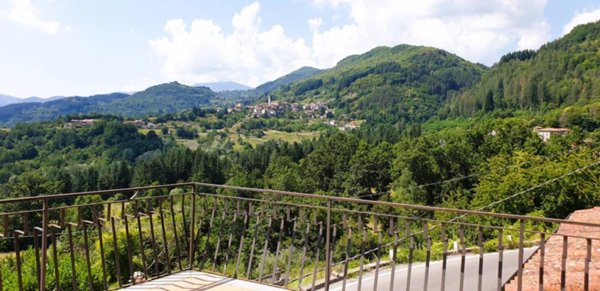 casa indipendente in vendita a San Romano in Garfagnana
