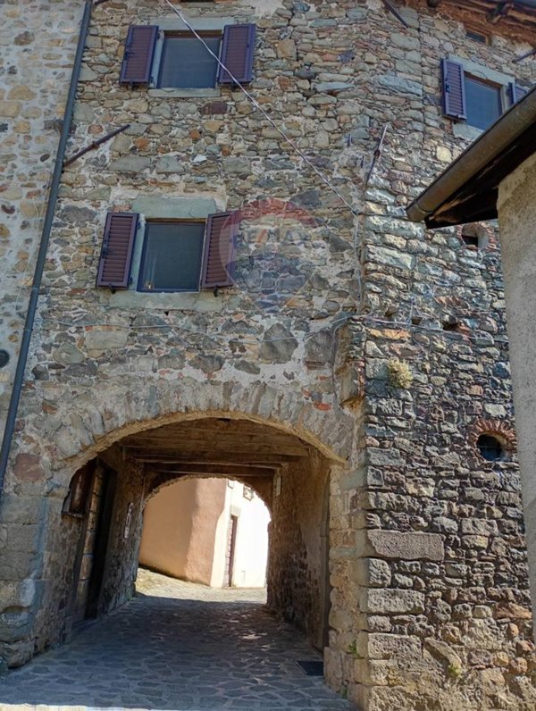 casa indipendente in vendita a San Romano in Garfagnana in zona Orzaglia