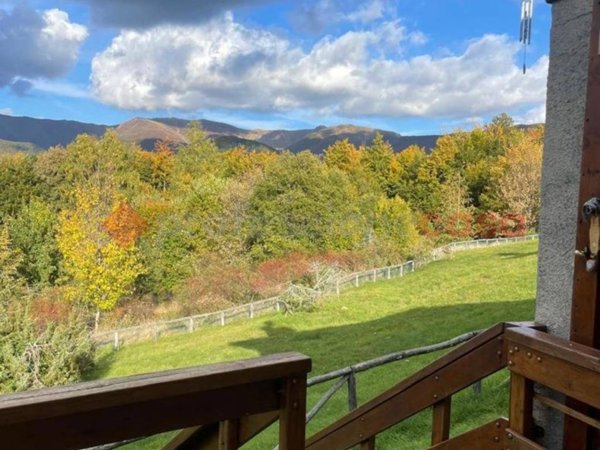 appartamento in vendita a San Romano in Garfagnana