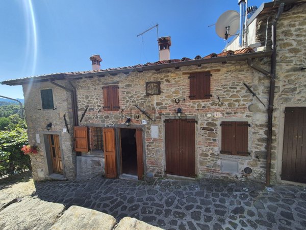 casa indipendente in vendita a San Romano in Garfagnana in zona Vibbiana