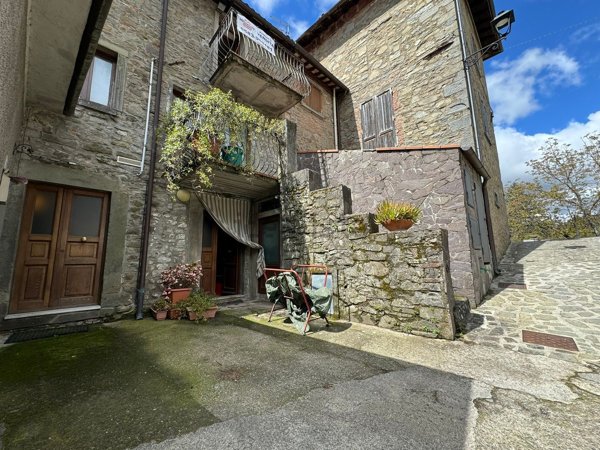 casa indipendente in vendita a San Romano in Garfagnana