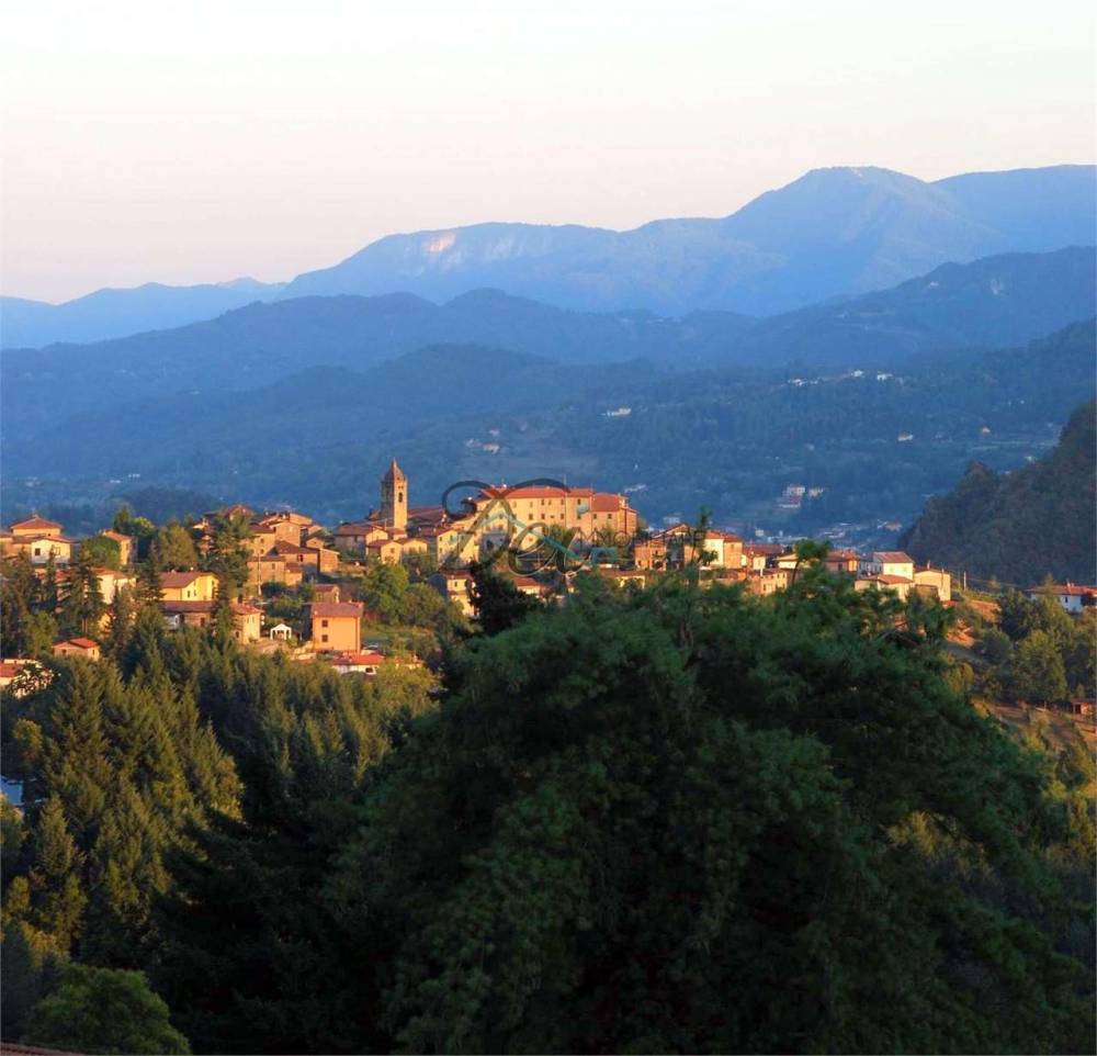 casa indipendente in vendita a San Romano in Garfagnana