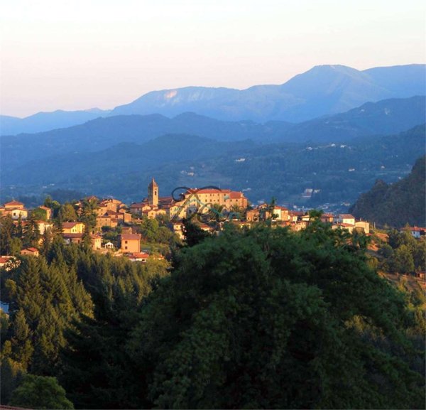 casa indipendente in vendita a San Romano in Garfagnana
