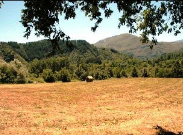 casa indipendente in vendita a San Romano in Garfagnana