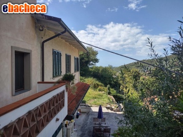 casa indipendente in vendita a Seravezza in zona Ripa