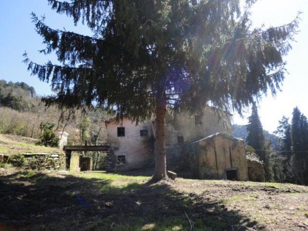 terreno agricolo in vendita a Seravezza
