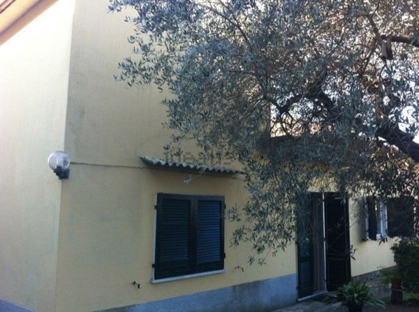 casa indipendente in vendita a Seravezza