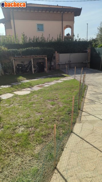 appartamento in vendita a Seravezza in zona Ripa