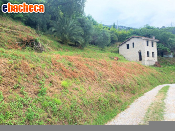 casa indipendente in vendita a Seravezza