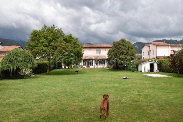 casa indipendente in vendita a Seravezza in zona Querceta
