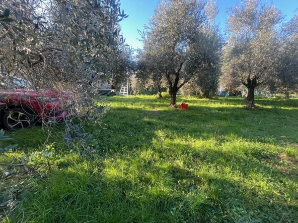 casa indipendente in vendita a Seravezza in zona Querceta