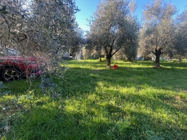 casa indipendente in vendita a Seravezza in zona Querceta